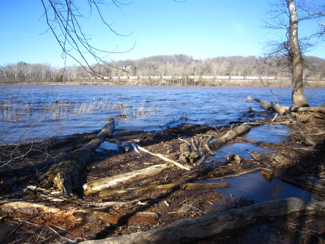 The river is rising, Mar. 5, 2011