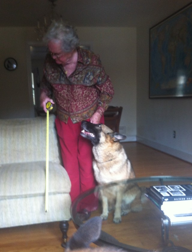 Roux waiting for my Mom. 