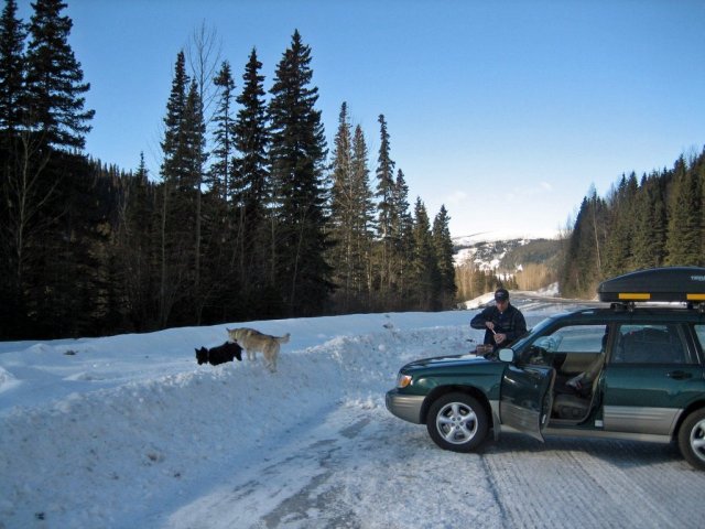 Excellent Subaru - my 2001 Forester