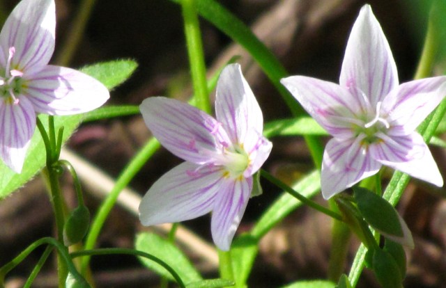 See what I mean? They're all the same.