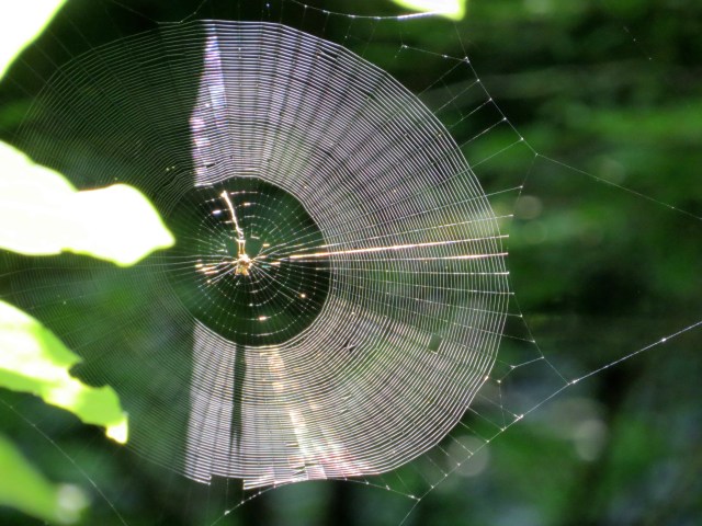 Beautiful and an engineering marvel