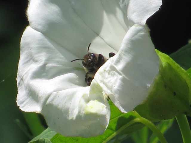 On the inside looking out