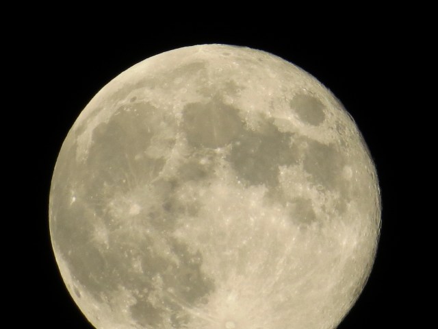 Better light for stealing bird seed