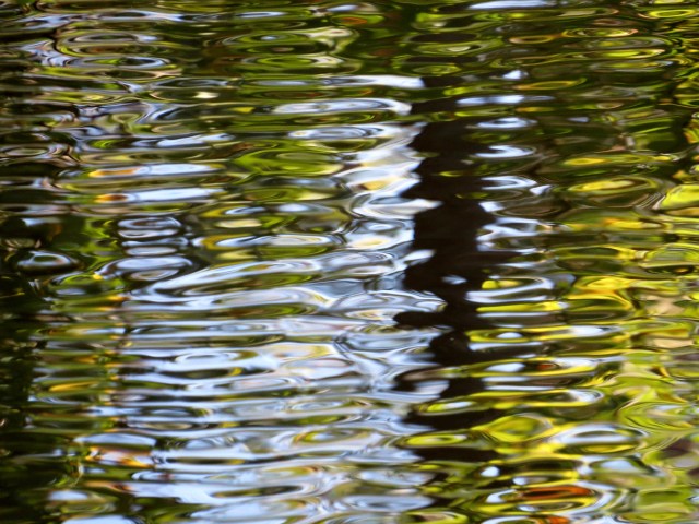 It's a photograph but it almost looks like a painting.