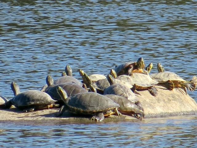 Making the best of each moment