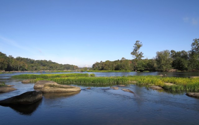 Those turtles were craning their necks to get a better look at this. Can you blame them?