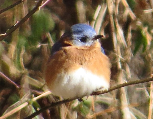 Toasting in the sun on a chilly day