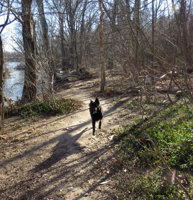 Hot dog on a cold day