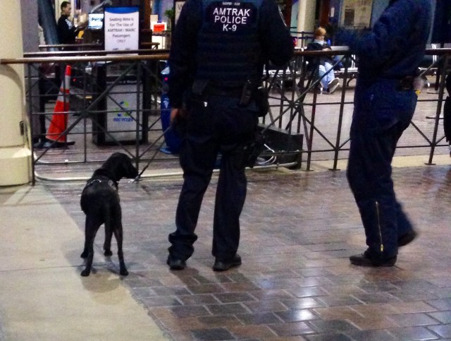 Sniffs anything from methamphetamine to empathy, and anything in between. 