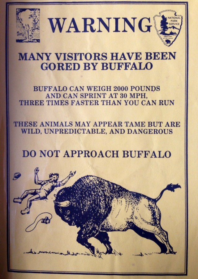 Notice the shorts and the flying hat and camera. There were no iphones back then. 