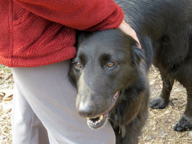 Mackey love to hang out with Evie