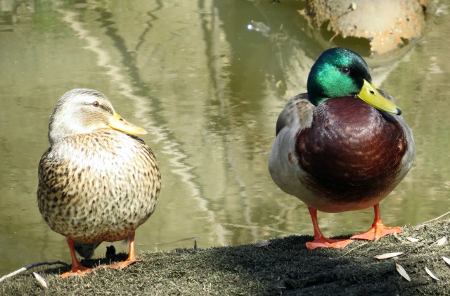 Don't those two look great together? 