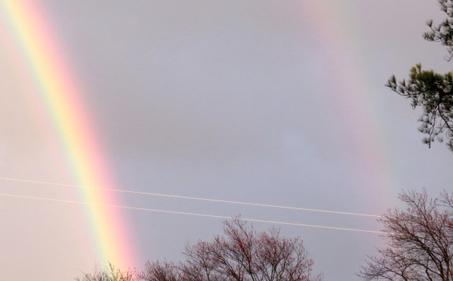 I wonder if this means there are two pots of gold. I'll have to consult with the rainbow coalition. They're the raining authority on this subject. 