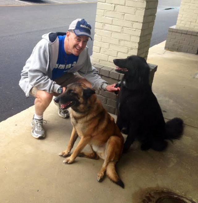 They're handsome and  happy and ready to go home! 