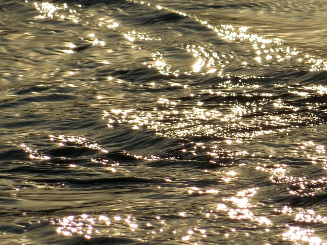 Anytime you're looking at the river is the best time to be looking at the river. 