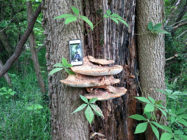 Long distance selfie