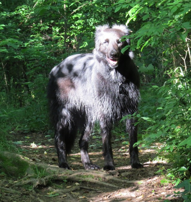 "Standing in the sunlight laughing" 