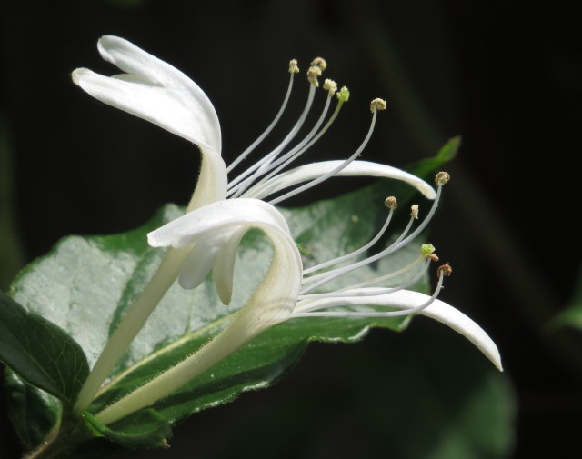 That is spring, right there. 