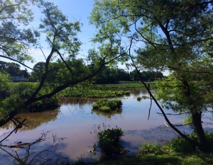 A picture Ev took in NJ at almost precisely the same time