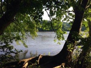 A picture I took in Richmond around 7:30 this AM