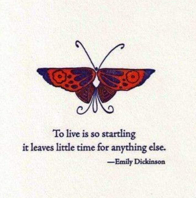 To live is so startling it leaves little time for anything else - Emily Dickinson