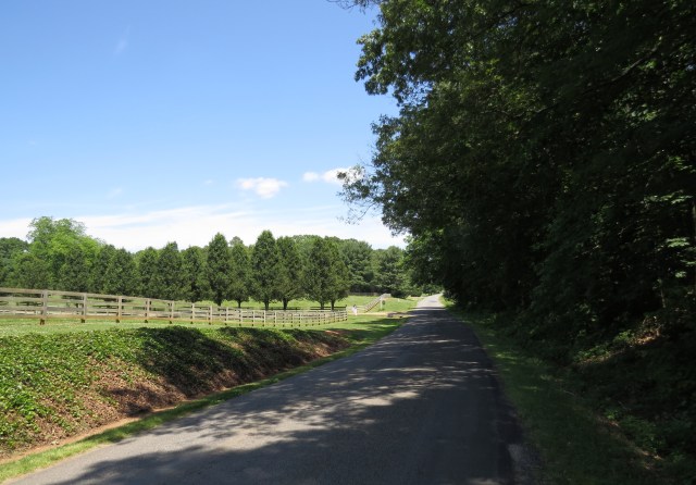 Who could ever tire of this?