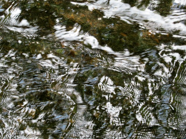 It's so amazing. You just point your camera at it and press the button. 