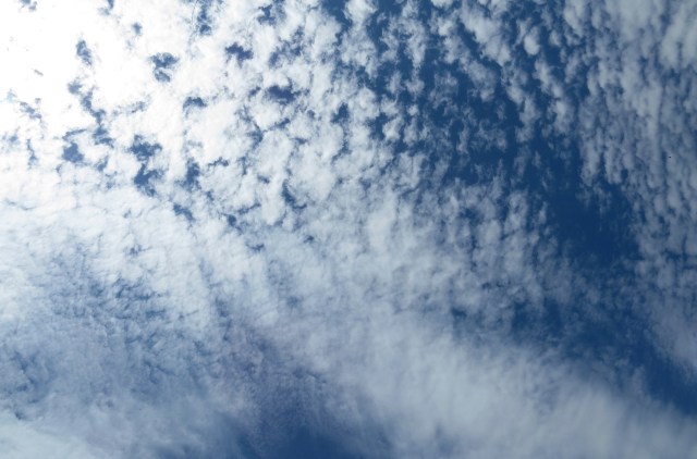 What a lovely sky we've had this summer. 