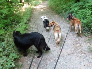 Mackey looking away, the other three not looking away. 