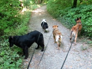 Mackey not looking away, the other three looking away. 
