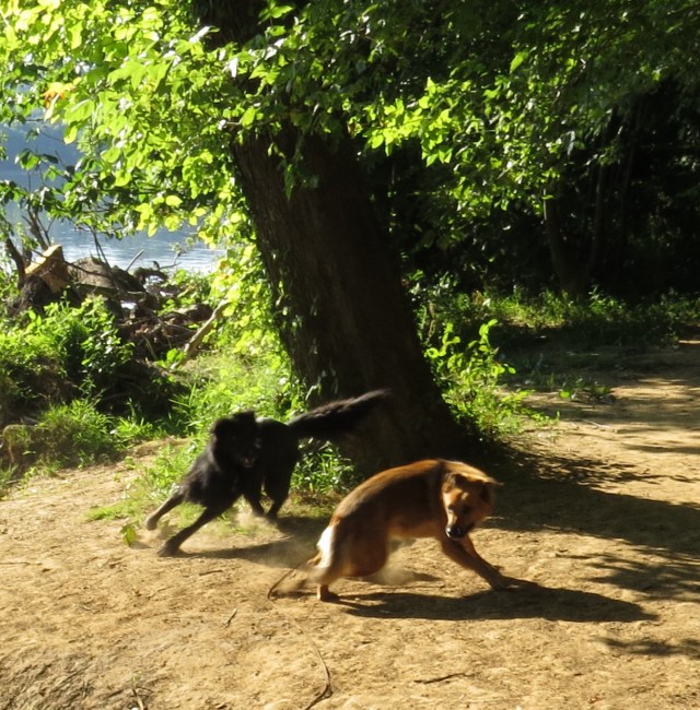 It takes an instant to go from sizing each other up to this: 