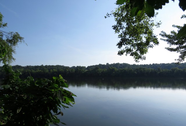 It looks like this so often you'd think it would get boring. But you'd be wrong. 