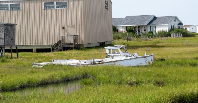 I'll bet there are crabs on board. Or other shellfish. 