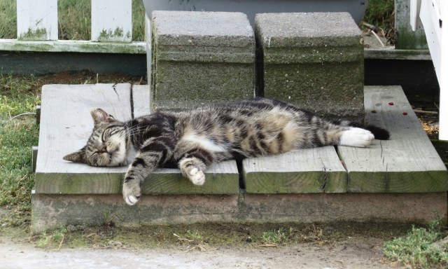 Notice the conspicuous lack of anxiety