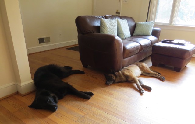 Slackers. I'm sorry, there's just no other word to describe them. 