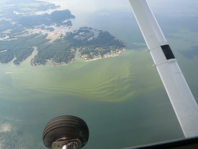 This is just WAY too much fun: 