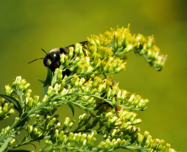 So bright! And it's SEPTEMBER!! 