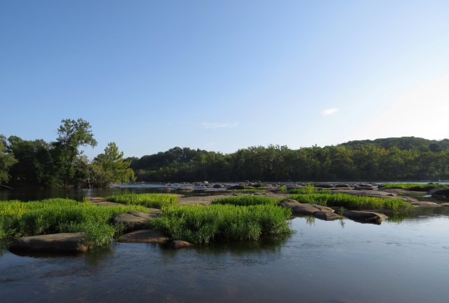 Ev says they all look the same. Maybe. I never tire. 