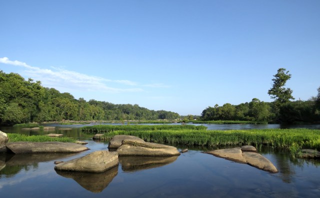 There's enough beauty to go around. As it turns out. 