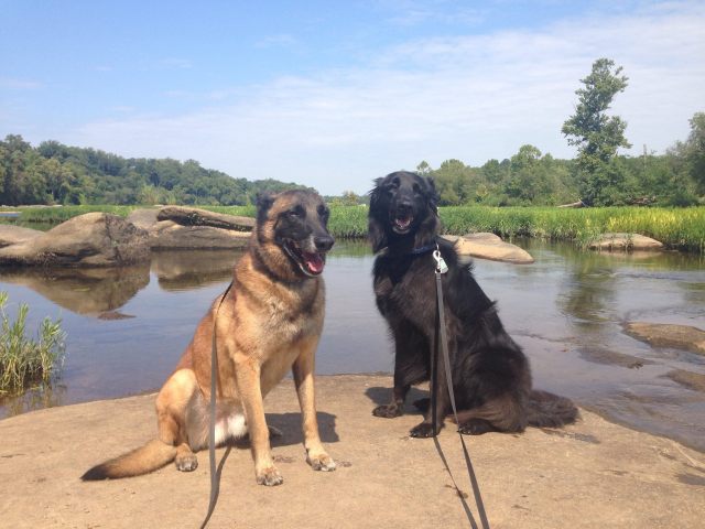 Mackey and Turner changing up the river view a bit. 