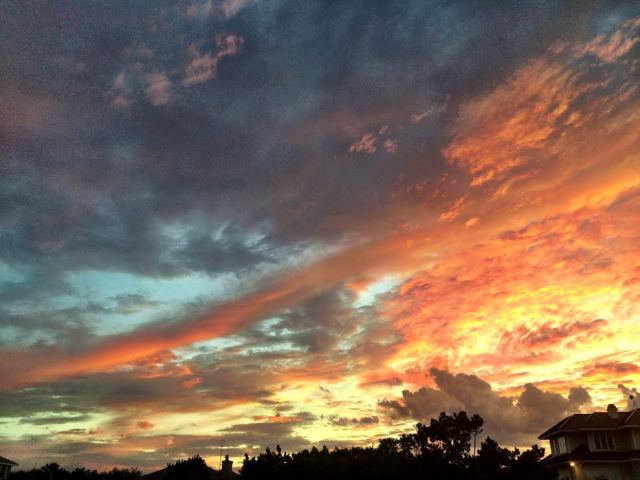 That color and texture I'll admit are hard to beat