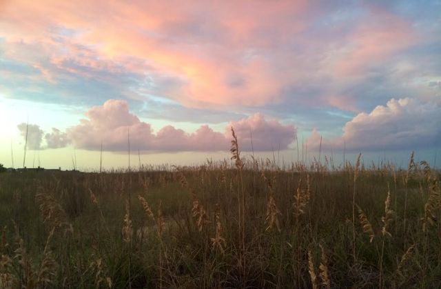 I think the thing with beautiful scenes is, they come in an infinite # of flavors. This is another. Thanks Ev! 