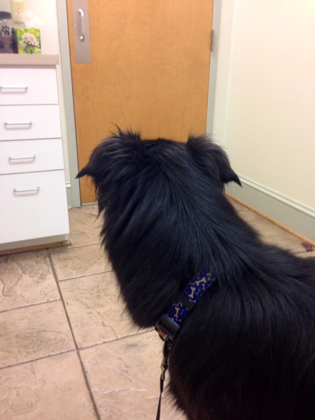 Mackey awaiting Turner's safe return 