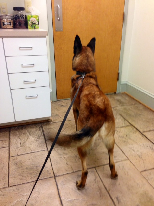 Turner anxiously awaiting Mackey's return: 