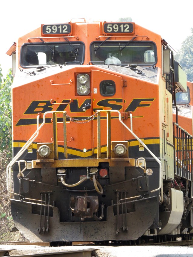 Autumn colors on the railroad tracks: 