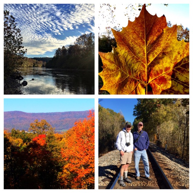 Clockwise from top left: The South Fork of the Shenandoah River w/amazing sky, a sycamore leaf, Shane and me hanging out where we used to hang out, autumn colors in the Shenandoah Valley from our deck. Thanks Ev! 