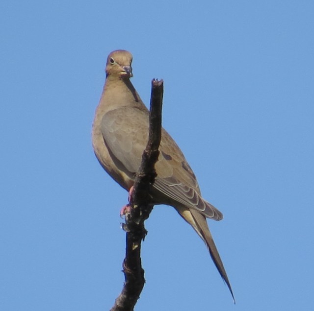 This one is better with fewer words. 