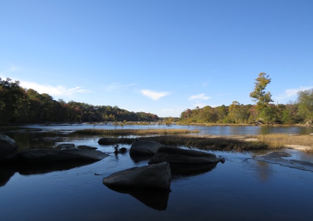 The river has a much different look in the afternoon! See the curly tree on the right? That's quite a contrast. 