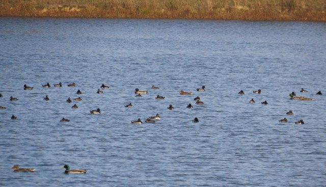 From this distance you can make out a bit more detail