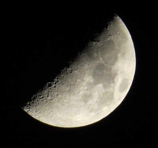 Three days later, now 7 days old, 50% full, very beautiful. Taken around 9:30 PM on Thursday, October 30